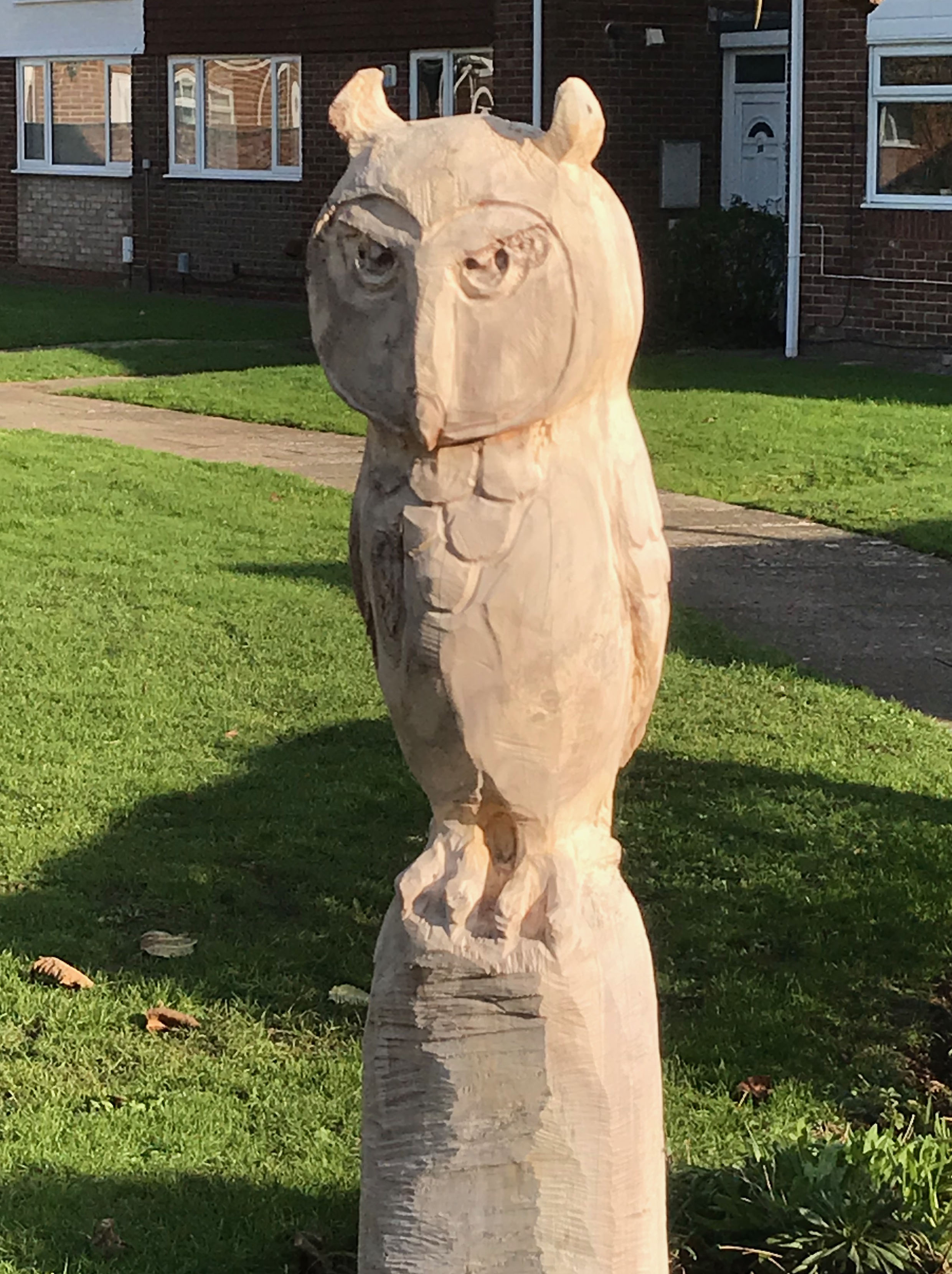 OWL Meon Close 1